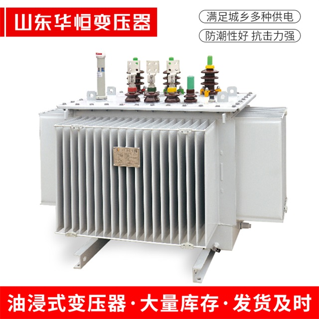 S13-10000/35双阳双阳双阳电力变压器
